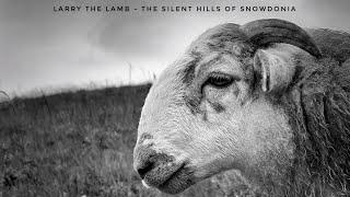 Larry The Lamb - The Silent Hills Of Snowdonia