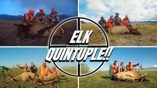 Taking Down Five Elk in Colorado!