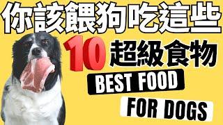 整理這10種【狗應該吃的超級食物】，請問還缺哪些?｜狗可以吃的食物2023 🟢Top 10 Best Food For Dog