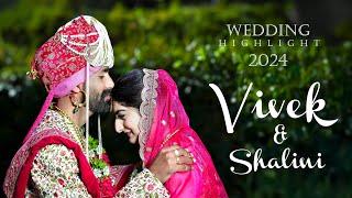 Wedding Highlight 2024 ||  Vivek & Shalini || Srs Production