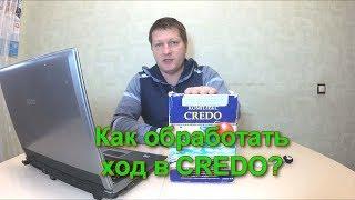 ОБРАБОТКА ХОДА В CREDO (КРЭДО)