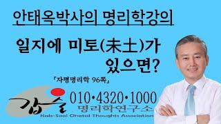 일지가 미토(未土)인 사주의 특징-(자평명리학96쪽)-갑술명리학-안태옥박사 010-4320-1000