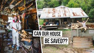 Cleanup Begins!  Can We Gut & Renovate This ABANDONED HOARDER HOUSE??