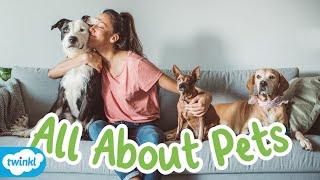 All About Pets for Kids | What Animals Are Pets in the UK?