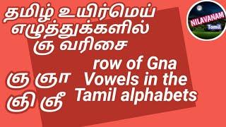 உயிர்மெய் எழுத்துக்களில் ஞ வரிசை