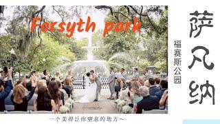 亚特兰大周边三日游：萨凡纳——福赛斯公园（Savannah--Forsyth Park）阿甘正传拍摄地！