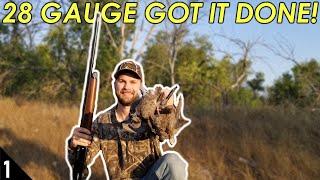 OPENING DAY Dove Hunt | 28 Gauge Dove Hunting 2020