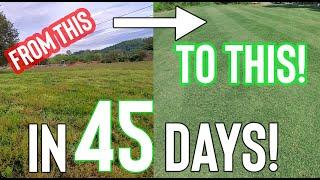 Golf Course Style Lawn In 45 Days! (How To: Lawn Care)