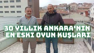 Müteahhit Şerafettin 30 Yıllık Ankara'nın En Eski Oyun Kuşları