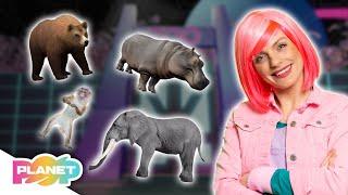 Looking At The Animals Song  | ESL Songs | English For Kids | Planet Pop | Learn English