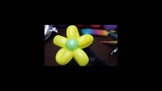 How to make balloon flower #balloonflower #shorts #diy