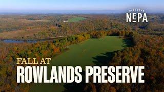 Rowlands Preserve Fall 2024