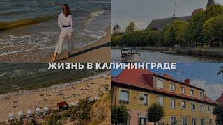 Жизнь в Калининграде // какие плюсы и минусы я выделила, что узнала о городе