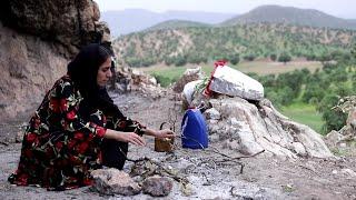 " Golrokh Fish Scales": Nomadic Struggle