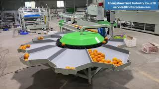 Small electronic sorter, fruit weight sorting machine