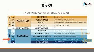 Richmond Agitation-Sedation Scale (RASS)