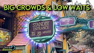 Disneyland Holiday Update: Crowds and Manageable Wait Times!