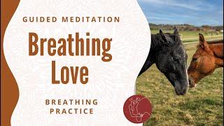 A meditative practice with foals // Breathing Love