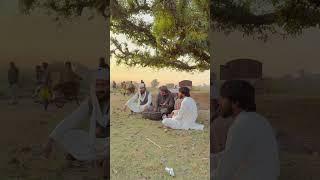 Kalam Baba Qasoor Mand | Bilal Haider | New Kalam Bilal Haider | Punjabi Arifana Kalam By Bilal Hadr
