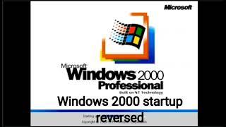 Wait this is a fake Windows Whistler startup