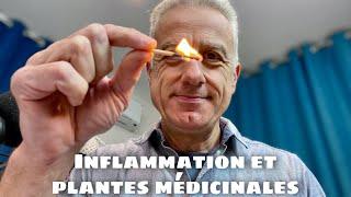 Inflammation chronique et aïgue : pourquoi faut-il connaître la différence ?