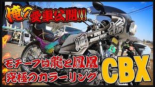 【俺の愛車公開！】旧車の文化は無くさない！こだわりにこだわった、究極のカラーリング 【CBX】