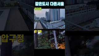 [강남] 같은도시 다른서울