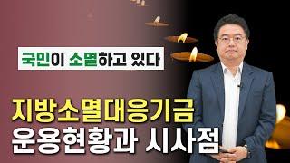 지방소멸대응기금 운용 현황과 시사점