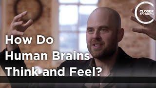 Alva Noë - How do Human Brains Think and Feel?