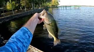 Bass Fishing Well Known Arkansas Crappie Lake