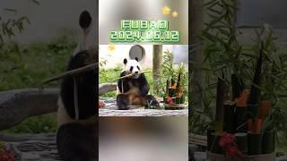 FUBAO2024.06.12 #panda #cute #fubao #animals #pets #funny #love