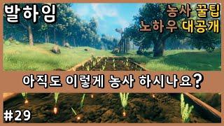 [Valheim EP29] Eng Sub - How to farm like a boss, tips and tricks