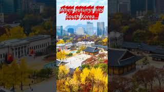 When Autumn Hits South Korea #southkorea #autumn #fall