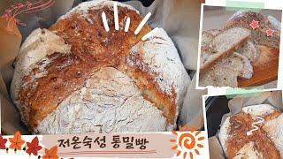 [ 방구석 베이커리 ]12시간 저온숙성 통밀빵(Whole Wheat Bread)