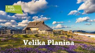 Tour of Slovenia 2022: Velika Planina, Kamnik