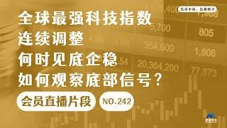 全球最强科技指数连续调整，何时见底企稳，如何观察底部信号？【会员直播片段】