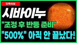 [시바이누 코인 전망] 조정 후 '반등' 준비 완료!? "500%" 남아있는 상승 모멘텀 주목!