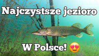 Najczystsze jezioro w Polsce!  Piękne jeziora