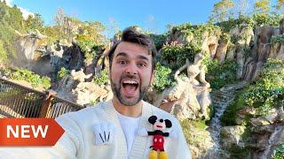 Tokyo Disney Vlog | Day 5 | Fantasy Springs Grand Chateau Happy Entry  | December 2024 | Adam Hattan