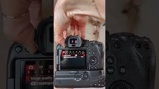 How to get sharp photos on your Canon R6 #bokehbiz #camerasettings #photographytips