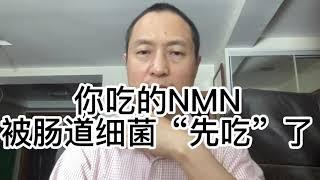 健康：你吃的NMN被肠道细菌“先吃”了