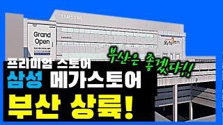 부산 삼성매장 역대급이네 우와... | 디지털프라자 메가스토어 부산본점 - 태박이