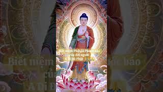 Phật #loiphatday #loivangphatdaythichphaphoa #phongthuy #trietlysong #phậtpháp #baihoccuocsong