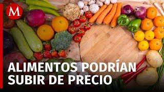 Cuauhtémoc Rivera advierte sobre el impacto de los aranceles en los alimentos de México