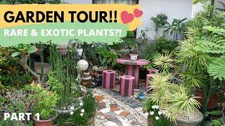 Garden Tour May 2020 | Tara Maglibot sa aming Hardin! (Philippines) | Plants Galore PH #GardenTour