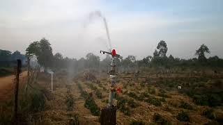 Sprinkler irrigation system at Miggadde Youth Farm CWDr Robusta Coffee Mother Garden in Nakaseke