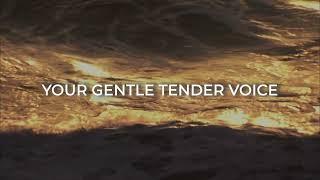 Gentle and Lowly (Matthew 11:29) [Official Lyric Video] - Tom Mottershead