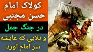 کولاک امام حسن مجتبی در جنگ جمل و بلایی که عایشه سر امام آورد