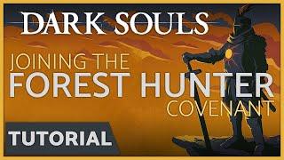 Dark Souls - How to Join the Forest Hunter Covenant in the Dark Forest