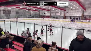 Pekin Dragons VS. Springfield Kings A1 - 1/2/2025